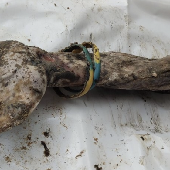 Izium. 1 Year After Massacre. 57 Bodies Weren’t Identified