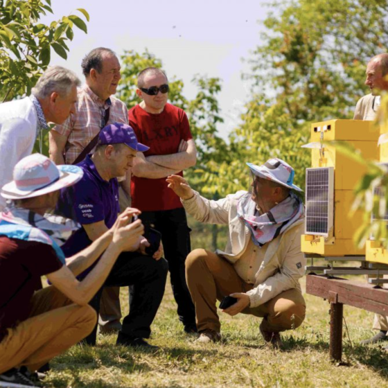 Ukrainian Electric Hives Were Located in America, Canada, Argentina and Brazil