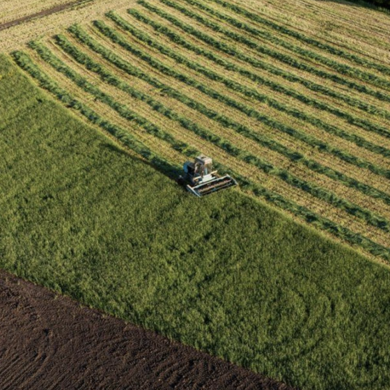 Opening of the Ukrainian Land Market for Legal Entities