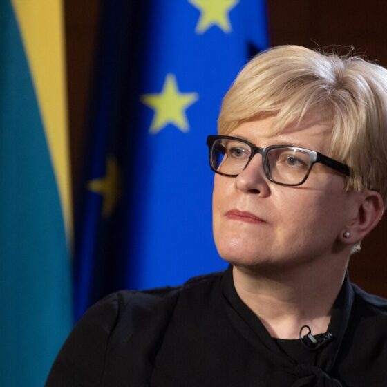 Lithuania Prepared to Deploy Training Mission to Ukraine, Awaits Request