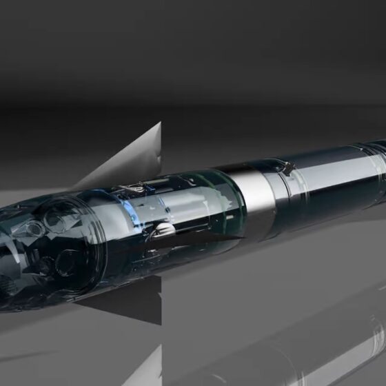 UK Orders Additional Martlet Missiles, Some to Be Sent to Ukraine