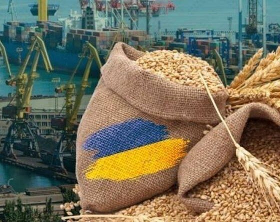 UK to Complete Verification Method for Ukrainian Grain by August End