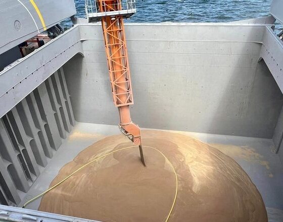 Kernel Increases Grain Exports by Almost 50% in Fiscal Year 2024
