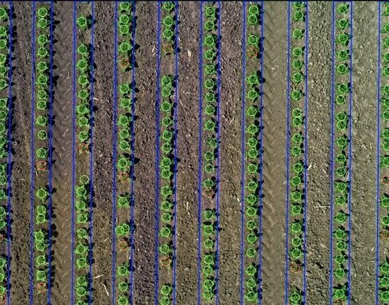 Fermata and agRE.tech Join Forces to Revolutionize Agrovoltaic Crop Management