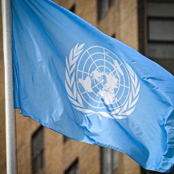 Ukraine Seeks Continued Cooperation with New UN Coordinator Matias Shmale