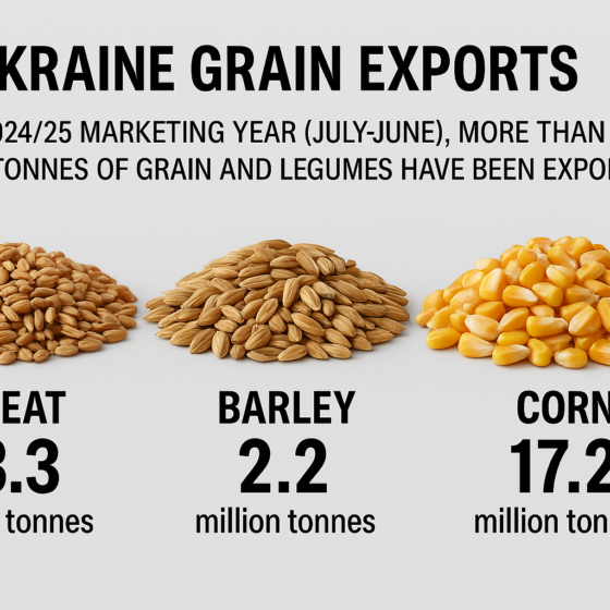 Ukraine Grain Exports Reach 33.2 Million Tons in the Current Season