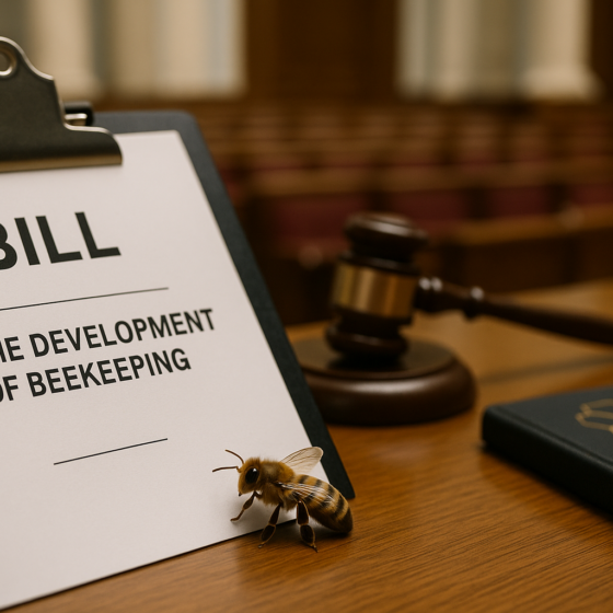 New Beekeeping Bill in Verkhovna Rada Targets Digital Reform and Industry Growth