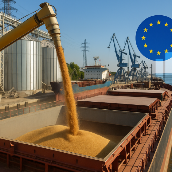 Ukraine’s H1-2025 Agri-Export Snapshot: 57 % of Total Sales, $11.3 bn Turnover