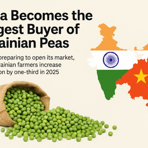 India Becomes the Largest Buyer of Ukrainian Peas