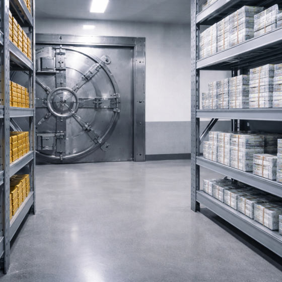 Secure reserve vault with gold bars and sealed currency bundles in Ukraine, no text