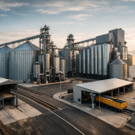 Agri market update highlighted ongoing trade and production adjustments in Ukrainian agriculture