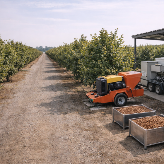 Modern hazelnut orchard with irrigation and mobile cleaning unit, natural light, no text