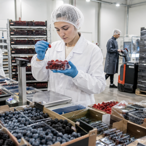 Ukrainian berries enter French and German retail niches